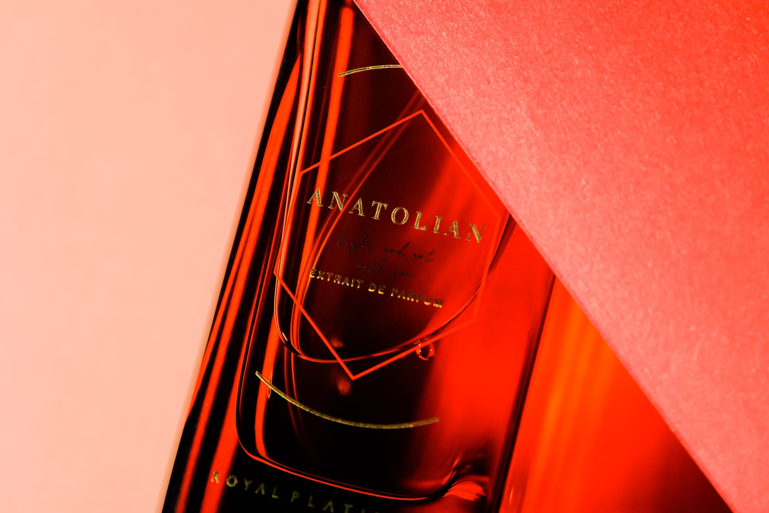 En İyi Kadın Parfümleri